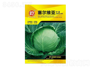 {(ln)N-ِS-Sr(nng)I(y)