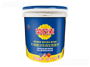 ~̼ø΢-ջ-|A-Ar(nng)I(y)