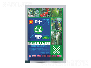 10΢Ԫˮܷ-~G-r(nng)ʿ