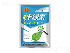 ΢Ԫˮܷϣ10ˣ-~G-r(nng)ʿ