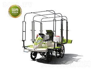 2ZPY-13AC-(lin)r(nng)I(y)