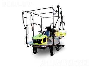 2ZPY-13GC-(lin)r(nng)I(y)