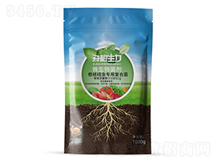 ΢ۄ100|(f)Ͼx-_-ƴƼ