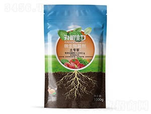 ΢ۄ100|(f)Ͼ-_-ƴƼ