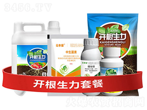 _(ki)ײ͢-_(ki)-ƴƼ