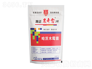 ľù-r(nng)3̖-r(nng)