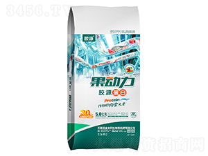 zԴ׷;-(dng)-̫(yng)