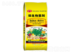 ΢(ni)Sػ|(zh)Tᣩ--̫