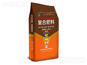 øV\(f)Ϸ16-6-24-Ѱ