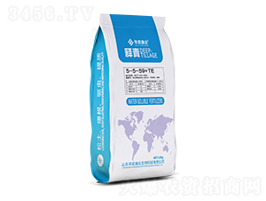 5-5-59+TE-A嫱
