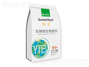 r(nng)΢wľùһ̖-l(wi)-ס̷