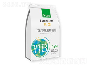 r(nng)΢ž̖-l(wi)-ס̷