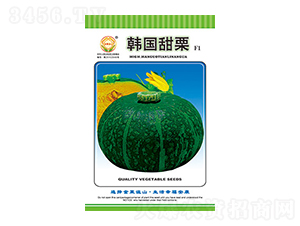 ϹϷN-n(gu)-̫(l)NI(y)