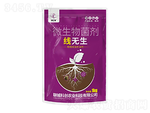 o΢-(chung)|z-ĳǿƄ(chung)