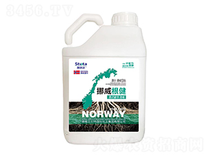 Ų-ʩ_(d)-(yu)r(nng)I(y)