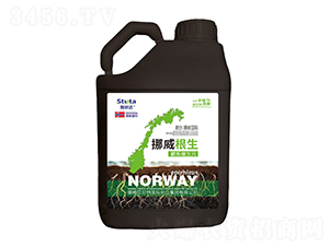 Ų-ʩ_-(yu)r(nng)I(y)