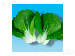 ๣˷N-204-A孷NI(y)