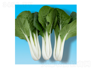 ๣˷N-̰ײ306-A孷NI(y)