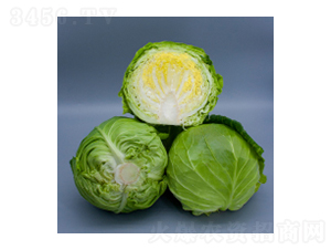 {(ln)N-{(ln)2116-A孷NI(y)