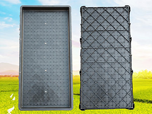 9պP(pn)-ʢSr(nng)C(j)