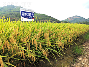 マ(yu)-ˮN-𽡷NI(y)