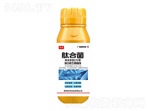 (f)΢-ĺϾ-Sr(nng)I(y)