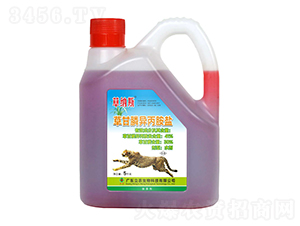 41%ݸ좮}sͣ-ݼ{˹-V|r