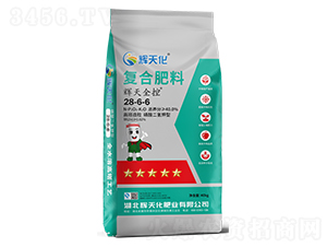 xȫ؏(f)Ϸ28-6-6-x컯-Dؐ