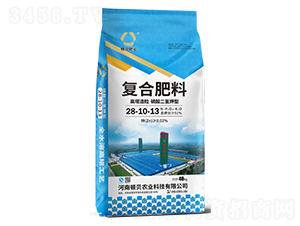 ͏(f)Ϸ28-10-13-DؐʘI(y)