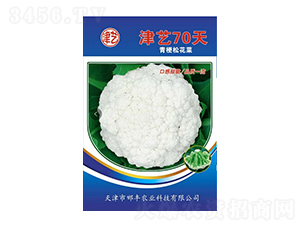 ˷N-ˇ70-Sr(nng)I(y)