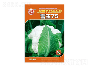 ˷N-ѩ75-Sr(nng)I(y)