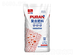 ⛡@ۺ͏ͺϷ17-17-17-۶ʩ