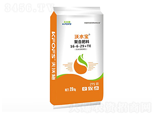 ˮwˮܷʸ16-6-29+TE-ʩ