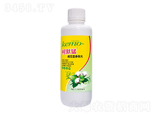 棉花蕾多鈴大-柯默猛-柯依之綠