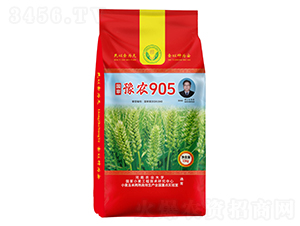 ԥr(nng)905СN-NI(y)