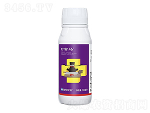 1%׾S}΢鄩-R-̖Сtñ